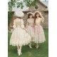 With Puji Letters and Poems-Breeze on Roses Blouse Skirt Underbust JSK OP and Sets(Pre-Order/Full Payment Without Shipping)